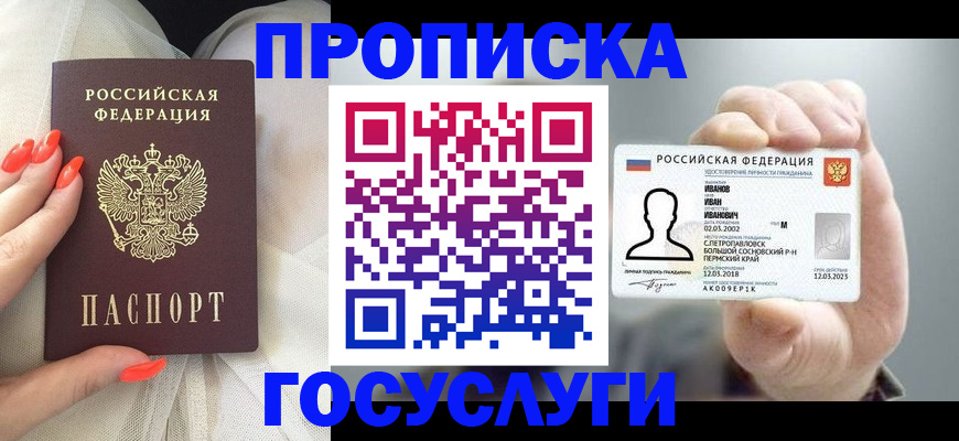 прописка гарантия в Щёлково